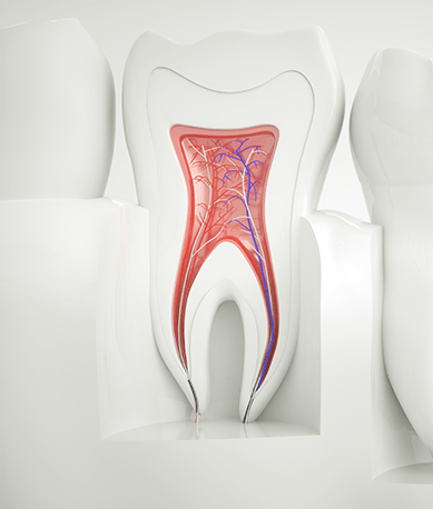 Treatment - Silk Dental